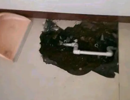 南郊卫生间测漏水多少钱